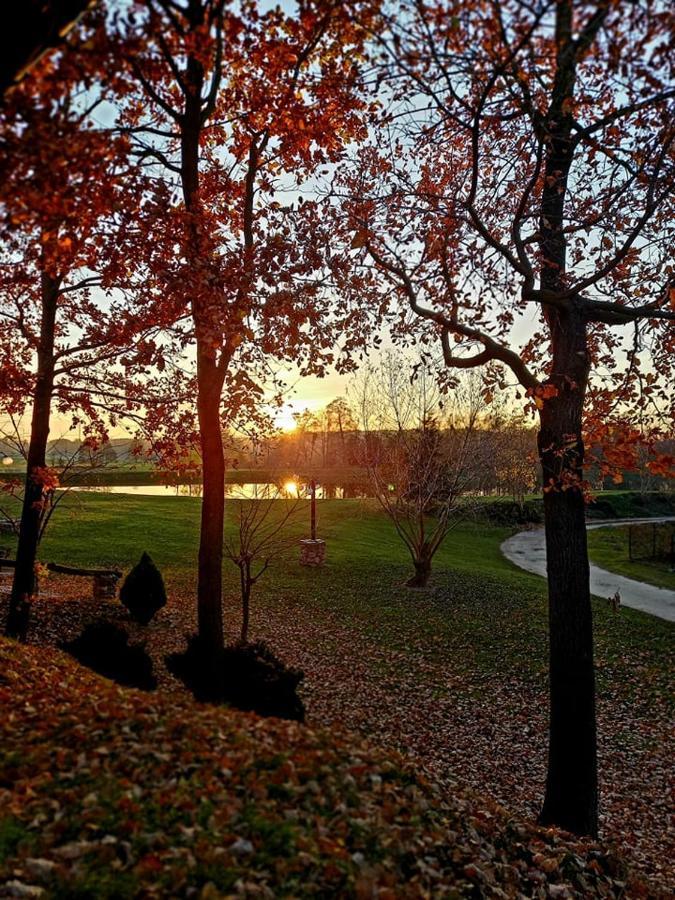 Отель Tawerna-Stawiska Garbatka-Letnisko Экстерьер фото